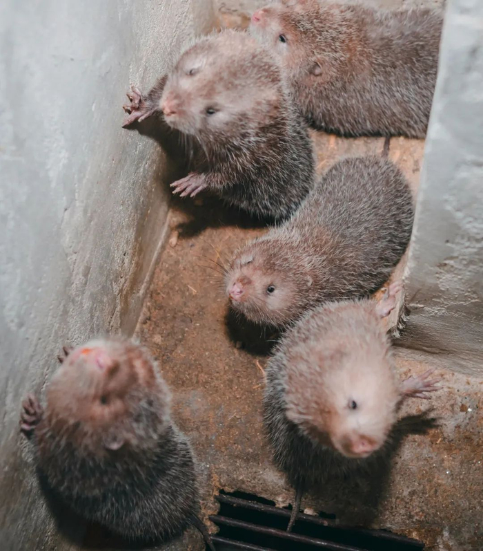 南风窗记者 郭嘉亮/摄