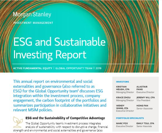 图片来源：截取自摩根士丹利官网《ESG及可持续投资报告》（7）， 2019；