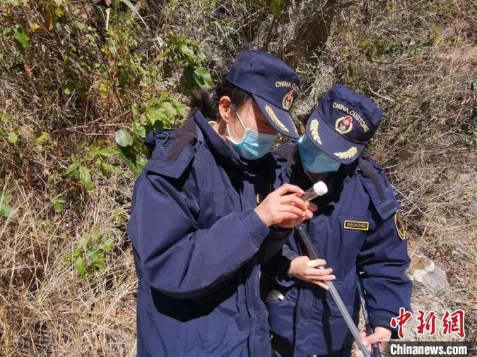  图为拉萨海关所属吉隆海关关员在口岸边界线2公里内开展沙漠蝗监测工作。拉萨海关供图