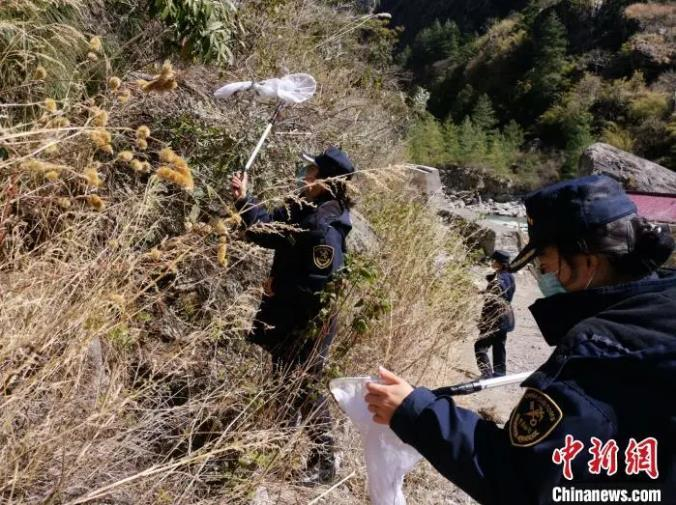  图为拉萨海关所属吉隆海关关员在口岸边界线2公里内开展沙漠蝗监测工作。拉萨海关供图