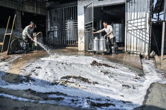 　　图片来源：凤凰新闻综合