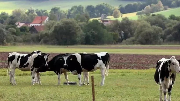 　　图片来源：网络