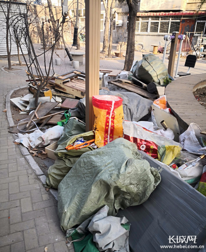 石家庄市联强小区花园内堆积着各种废物无人清理。网友供图