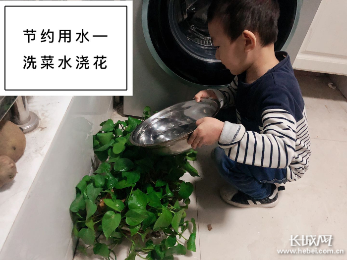 邢台市第三幼儿园开展“世界水日”主题教育活动。 武菊霞 供图