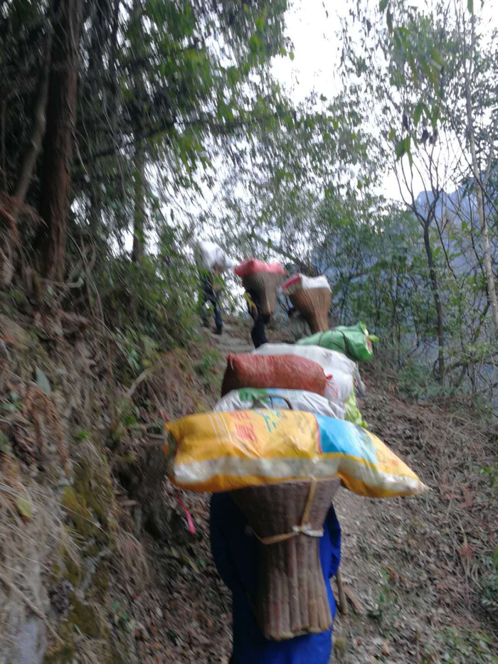▲山路陡峭，毛士雄跟村民们用背篓运送物资。