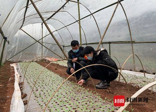 图三：沿滩区纪检监察干部走进西瓜大棚了解春耕情况（赵柳 摄）