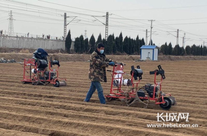 工作人员操作精量播种机在播种胡萝卜。通讯员 供图