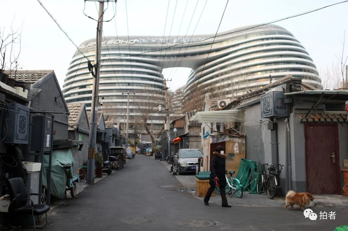  △&nbsp;2月26日，小牌坊胡同，一位居民在胡同里遛狗。摄影/新京报记者薛珺