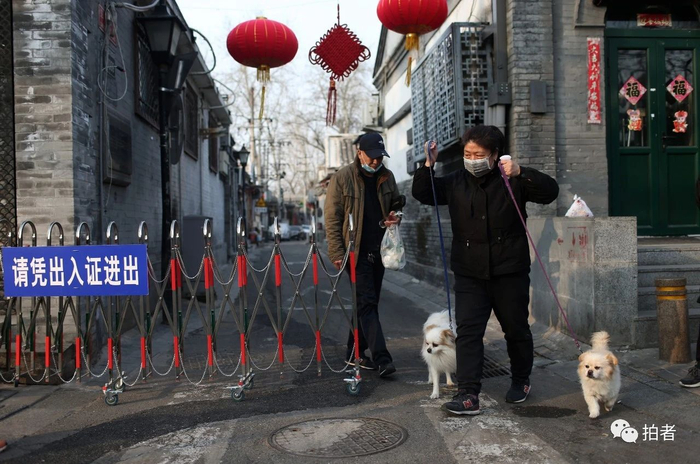  △&nbsp;2月25日，鼓楼东大街，一位居民拉着两条宠物犬走出设闸管理的草厂胡同。摄影/新京报记者薛珺