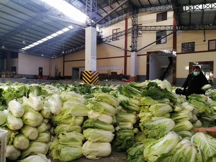 ▲陆先翠逐一检查自家将要捐出的200斤大白菜。