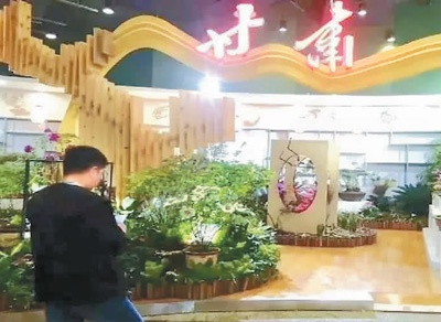 临洮紫斑牡丹在北京世园会上荣获多个奖项  来自网络