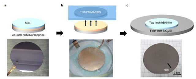 ▲晶圆级hBN转移过程的原理图和照片
