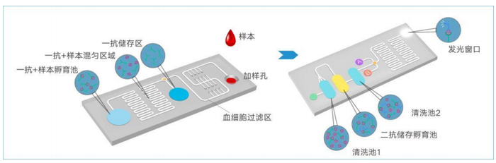 本文文章插图来源于华迈兴微，经授权使用。