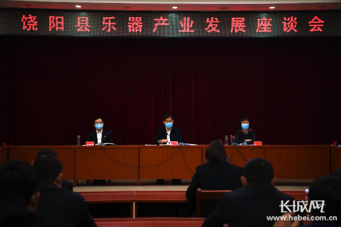 饶阳县召开乐器产业发展座谈会。崔佳栋 供图