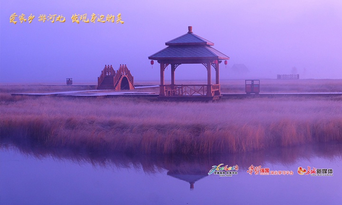 《秋风画意》。厉文中 摄