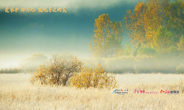 《涵秋霜清》。厉文中 摄