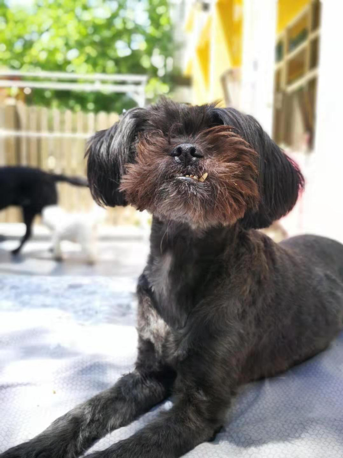 没有双眼的卡查