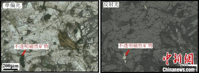剑川盆地中性火山岩显微照片。青藏高原所供图