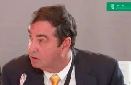 听证会现场不断发问的理查德·扬　图片来源|体坛网