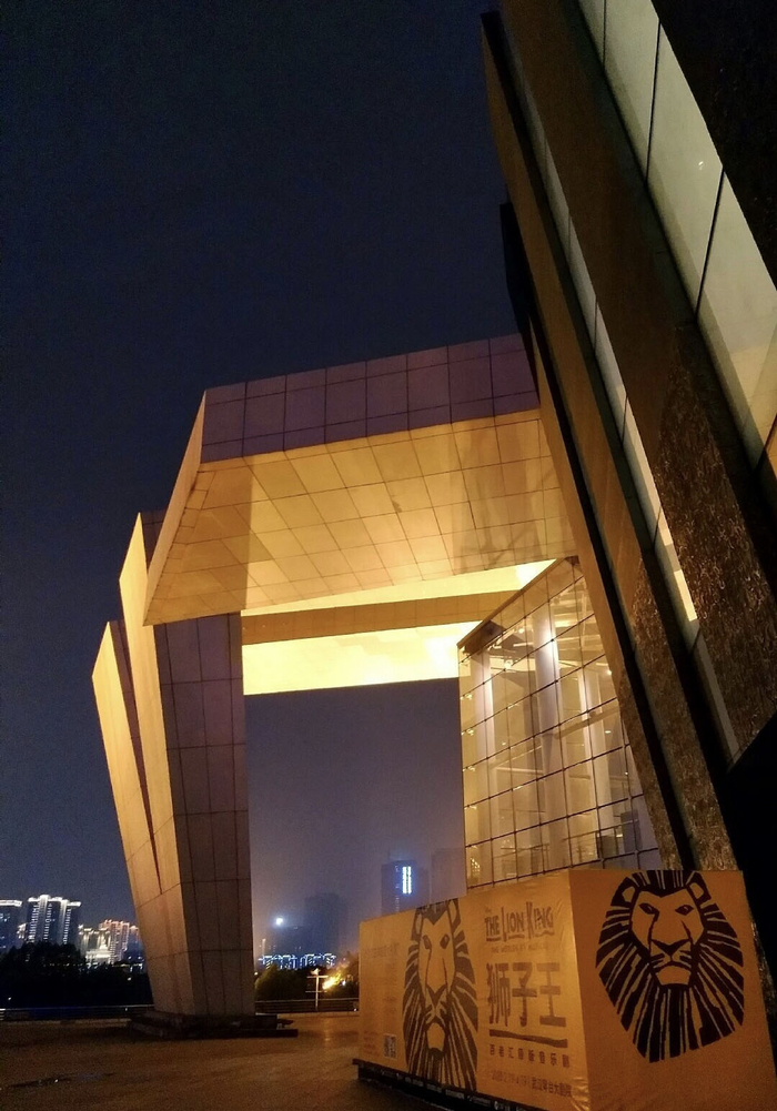 对周登涛来说，从业近六年，《狮子王》是最让他兴奋和期待的项目之一 