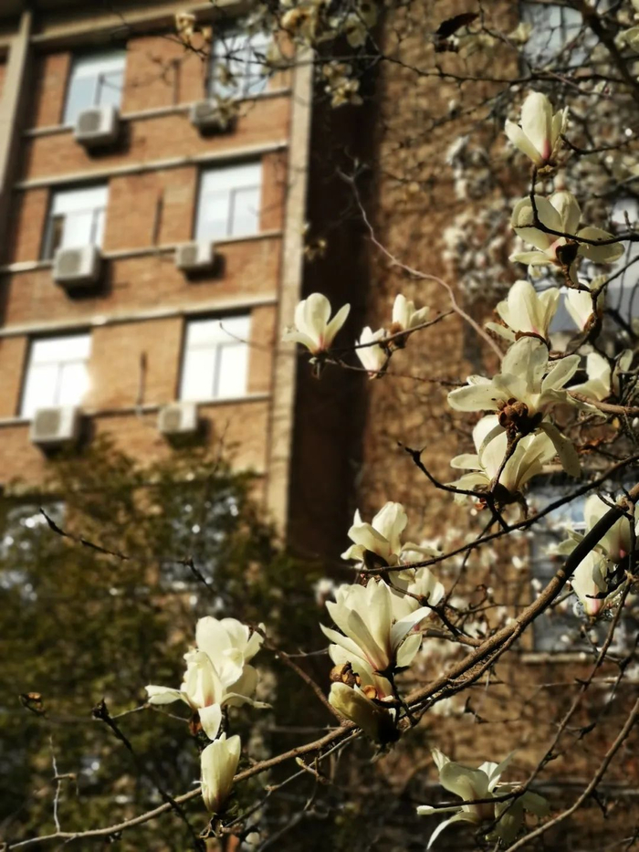 ▲机械总院集团郑机所