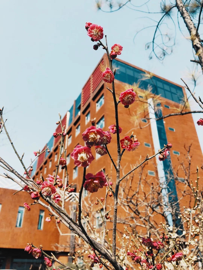 ▲国家电投山东院