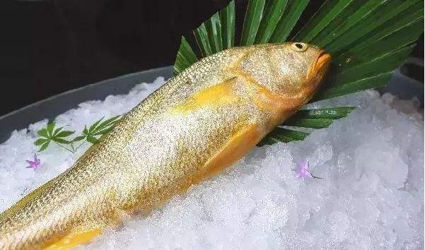 冰镇黄鱼