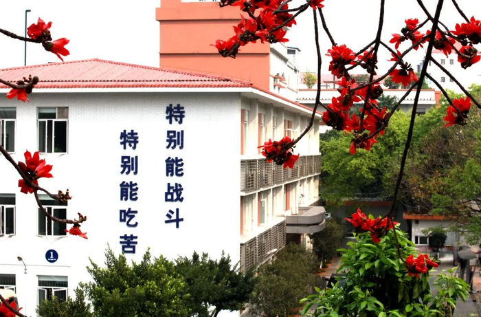 ▲南方电网广东电网能源发展有限公司办公大楼前的木棉花开了（杨惠平  摄）