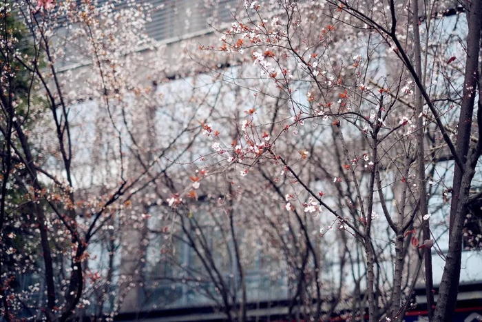 ▲兵器装备集团嘉陵工业