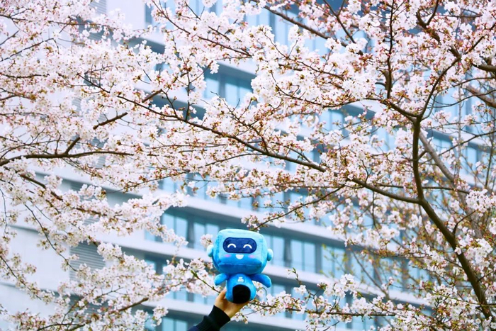 ▲中建科工上海分公司办公所在园区