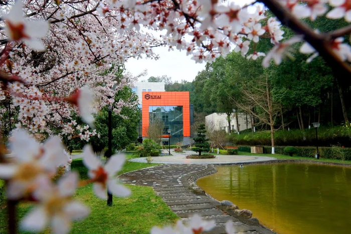 ▲兵器装备集团自动化所公司 春色满园