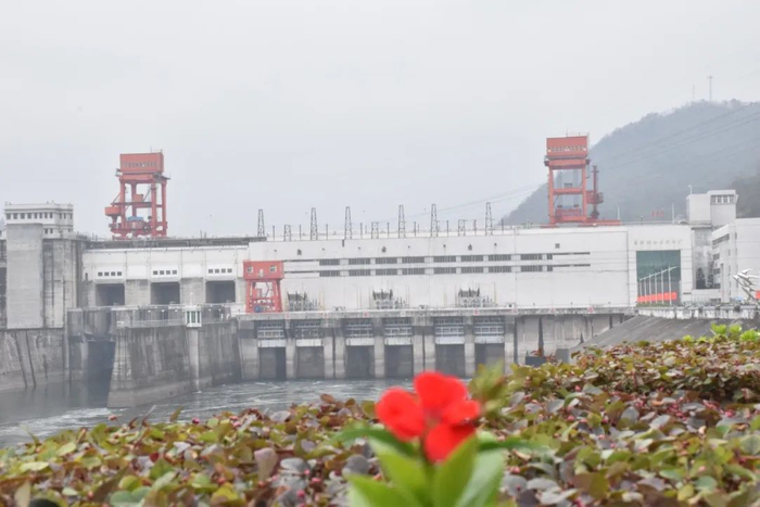 ▲三峡集团湖北能源清江高坝洲水电站之春