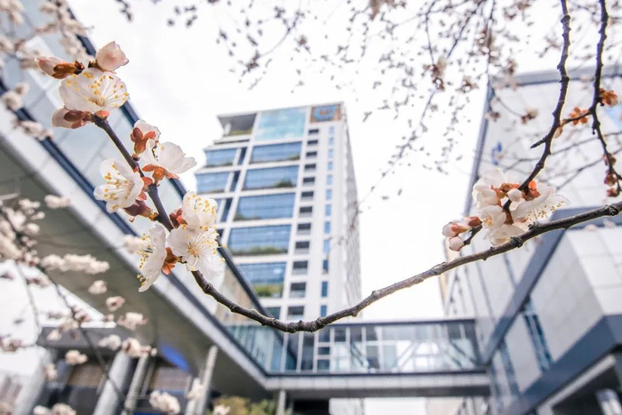 ▲中国化学工程东华科技