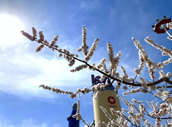 ▲中国建材集团所属水泥厂