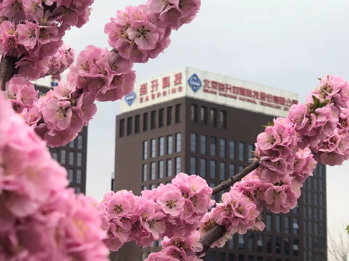 ▲矿冶集团所属当升科技办公楼