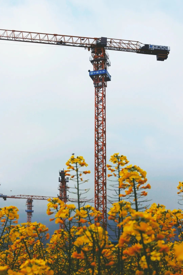 ▲中建科工温州瓯海会展项目部