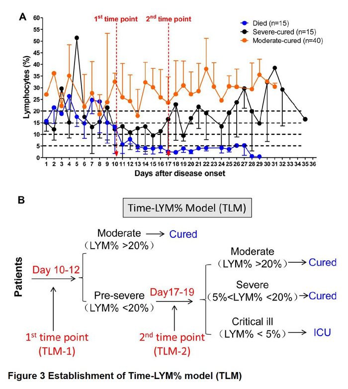  图3：建立时间-淋巴细胞百分比模型（TLM）