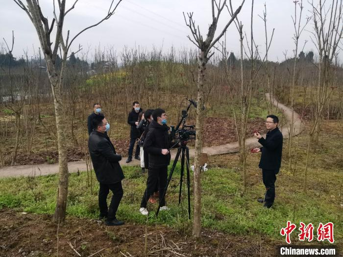 大竹县领导直播“带货”现场。大竹县委宣传部供图