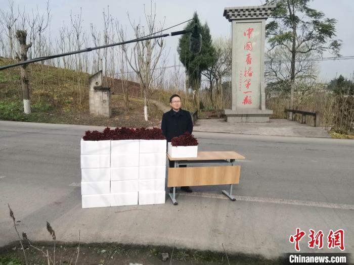 大竹县领导直播“带货”现场。大竹县委宣传部供图