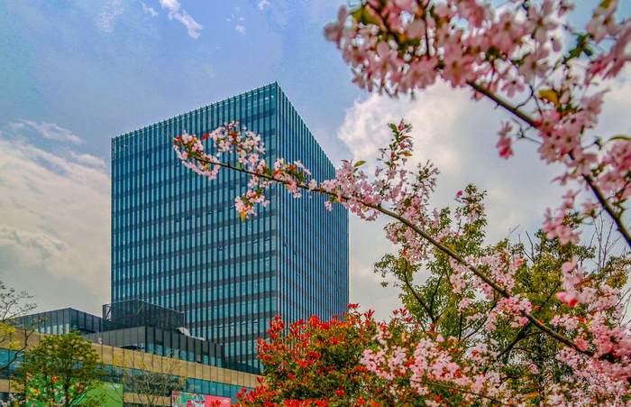 ▲中建八局办公楼花开春景