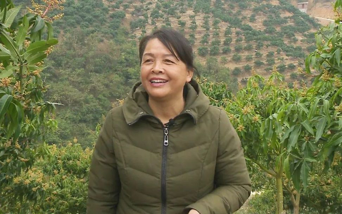 陆秀缎回到家乡重新种芒果。受访者供图