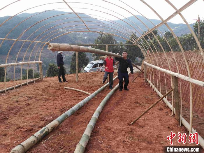     图为陈世满与村民一起搭建蔬菜大棚。云南省公安厅供图