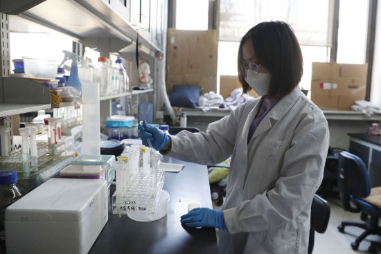 　　清华大学结构生物学高精尖创新中心王新泉课题组成员在实验室开展相关科研工作。（摄影：中新社记者 韩海丹）
