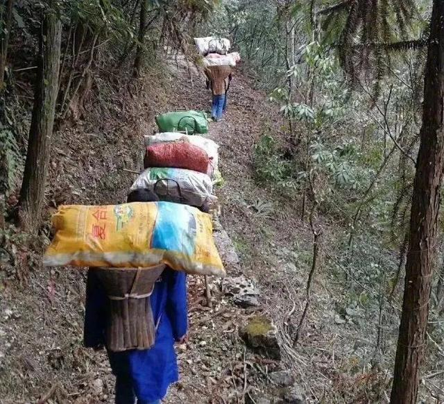 图源：荔枝新闻