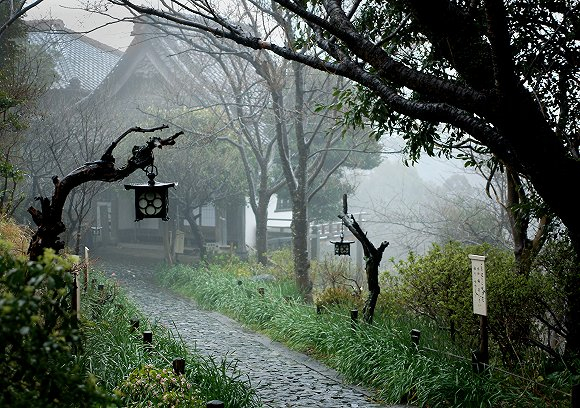 图片来源：视觉中国