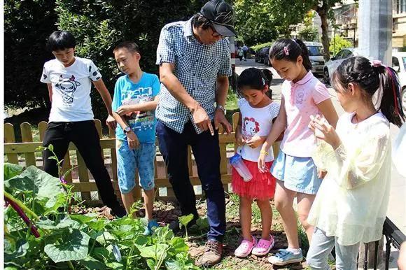 他在寸土寸金的魔都建了63个花园，圆了上万人的都市田园梦