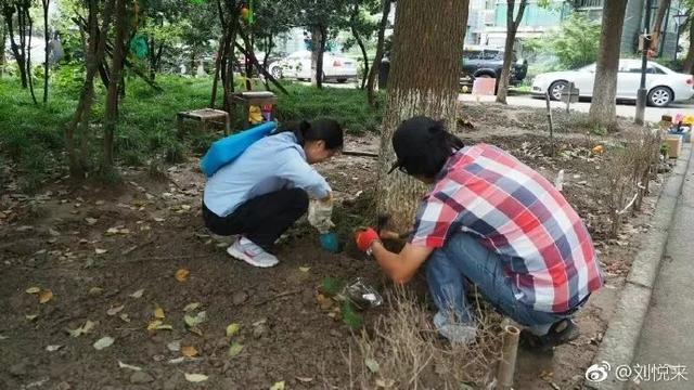 他在寸土寸金的魔都建了63个花园，圆了上万人的都市田园梦