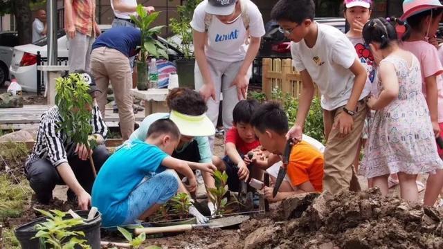 他在寸土寸金的魔都建了63个花园，圆了上万人的都市田园梦