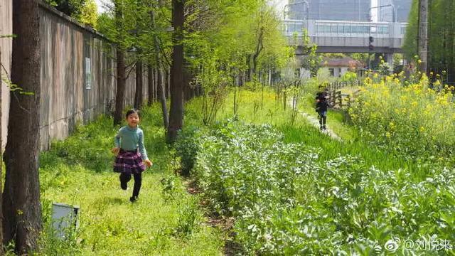 他在寸土寸金的魔都建了63个花园，圆了上万人的都市田园梦