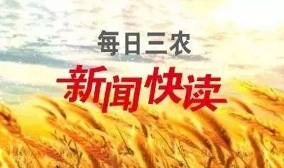 省委通知：各地不得以任何名义调减粮食面积，全年面积增加100万亩